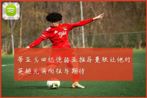 蒂亚戈回忆德赫亚推荐曼联让他对英超充满向往与期待